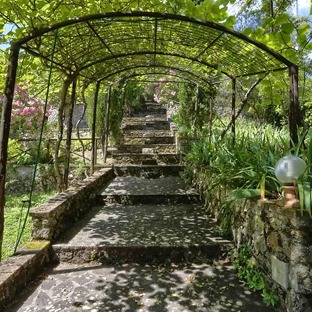 Lejlighed Podere Dei Sassi Stigliano (Tuscany)